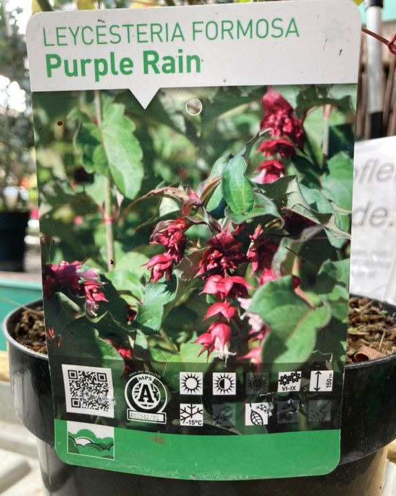 Det nyeste på Hobros opslagstavle