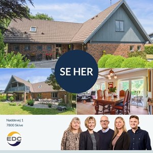 Opslagsbillede