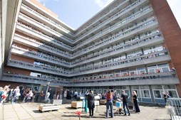 Holstebro Festuge slap drømmene løs