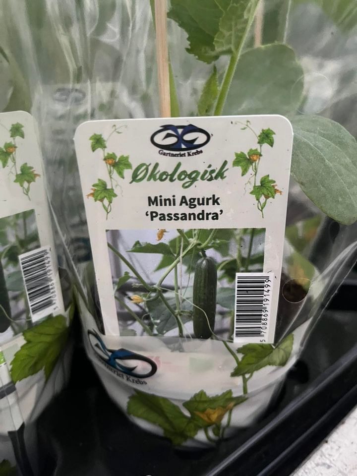 Opslagstavlen: Nyeste opdateringer fra Odder