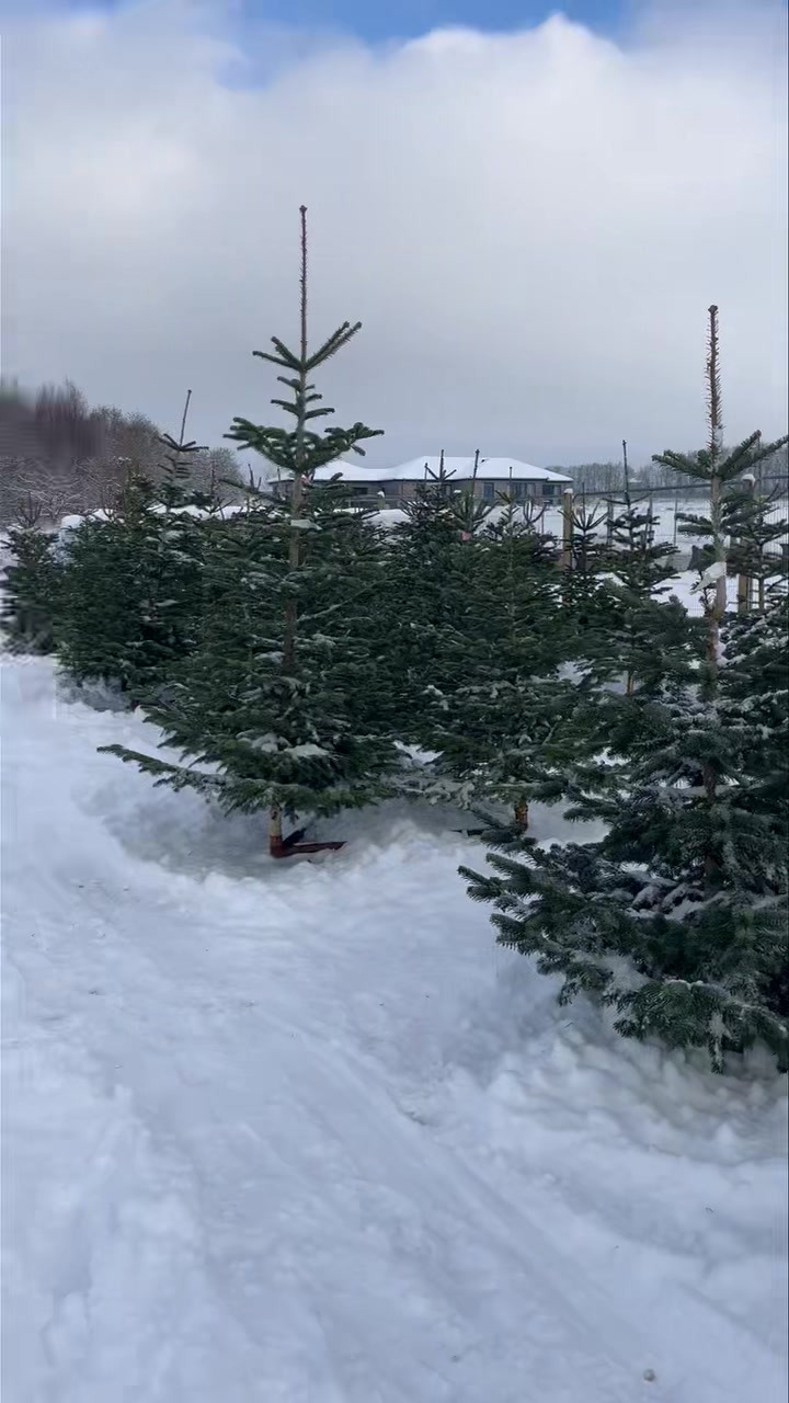 Nyt på opslagstavlen i Odder