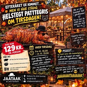 Opslagsbillede