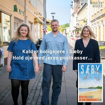 Opslagsbillede