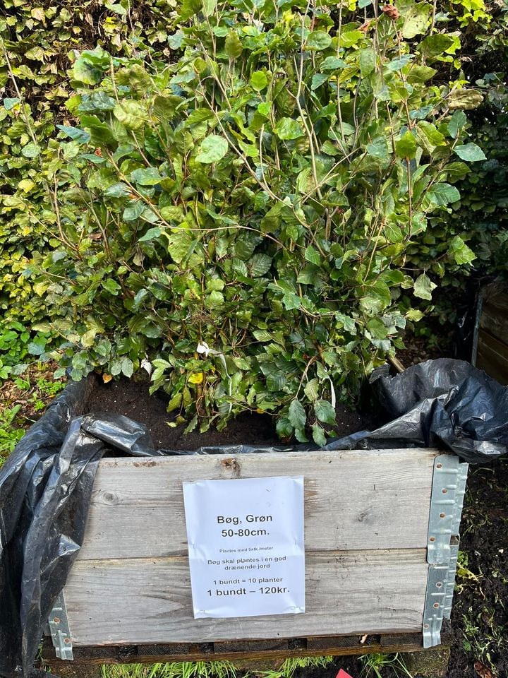 Hold dig ajour med dagens opdateringer fra Odder