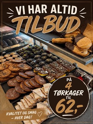 opslagsbillede