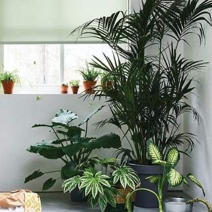 Opdatér dig her: Det nyeste fra Brønderslev