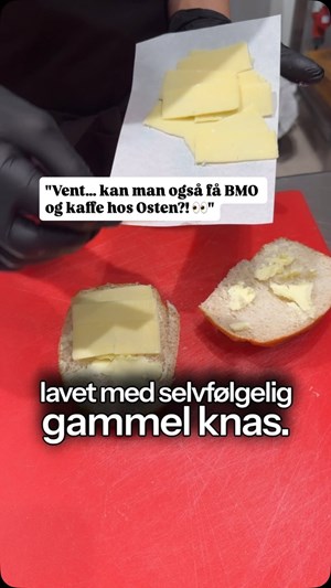 opslagsbillede