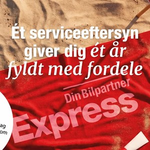 Opslagsbillede