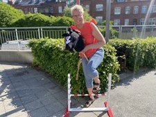 Kæpheste springbane på Posthustorvet i Skive