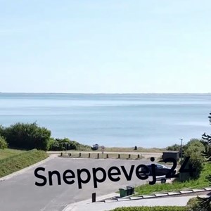 Opslagsbillede