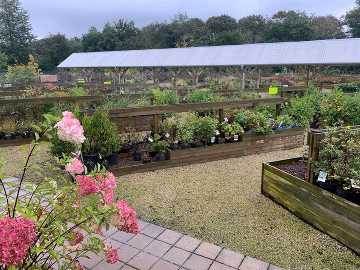 Det nyeste på Brønderslevs opslagstavle