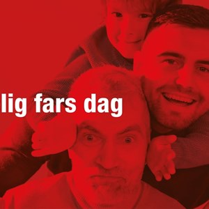 Opslagsbillede
