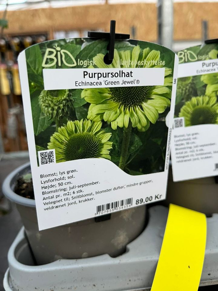 Det nyeste på Horsens’ opslagstavle