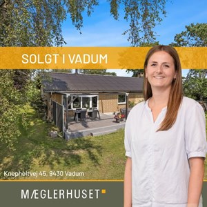 Opslagsbillede