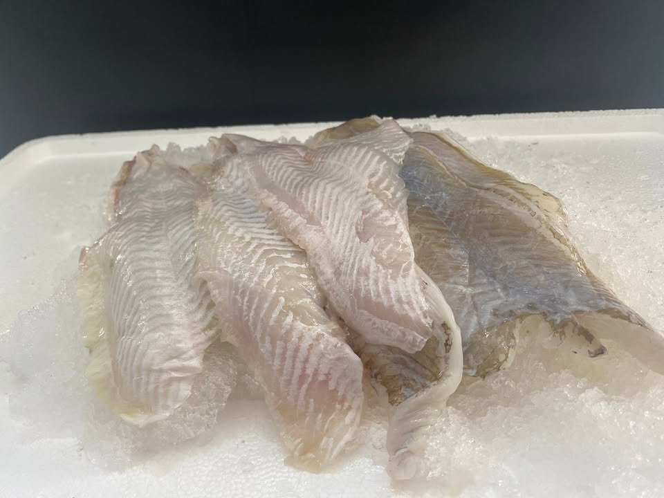 Havnens Fisk Øster Hurup tilbyder store rødspættefileter som søndagstilbud i uge 38