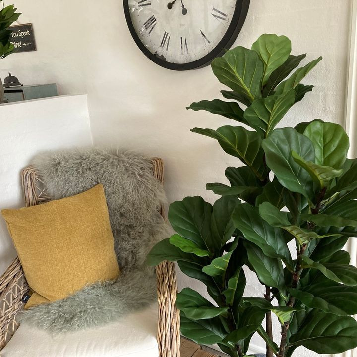 HILMARS ApS: Få en flot og vedligeholdelsesfri stueplante med vores kunstige planter