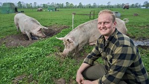 Oplev det økologiske griseliv til Sofari hos Stenager-Øko