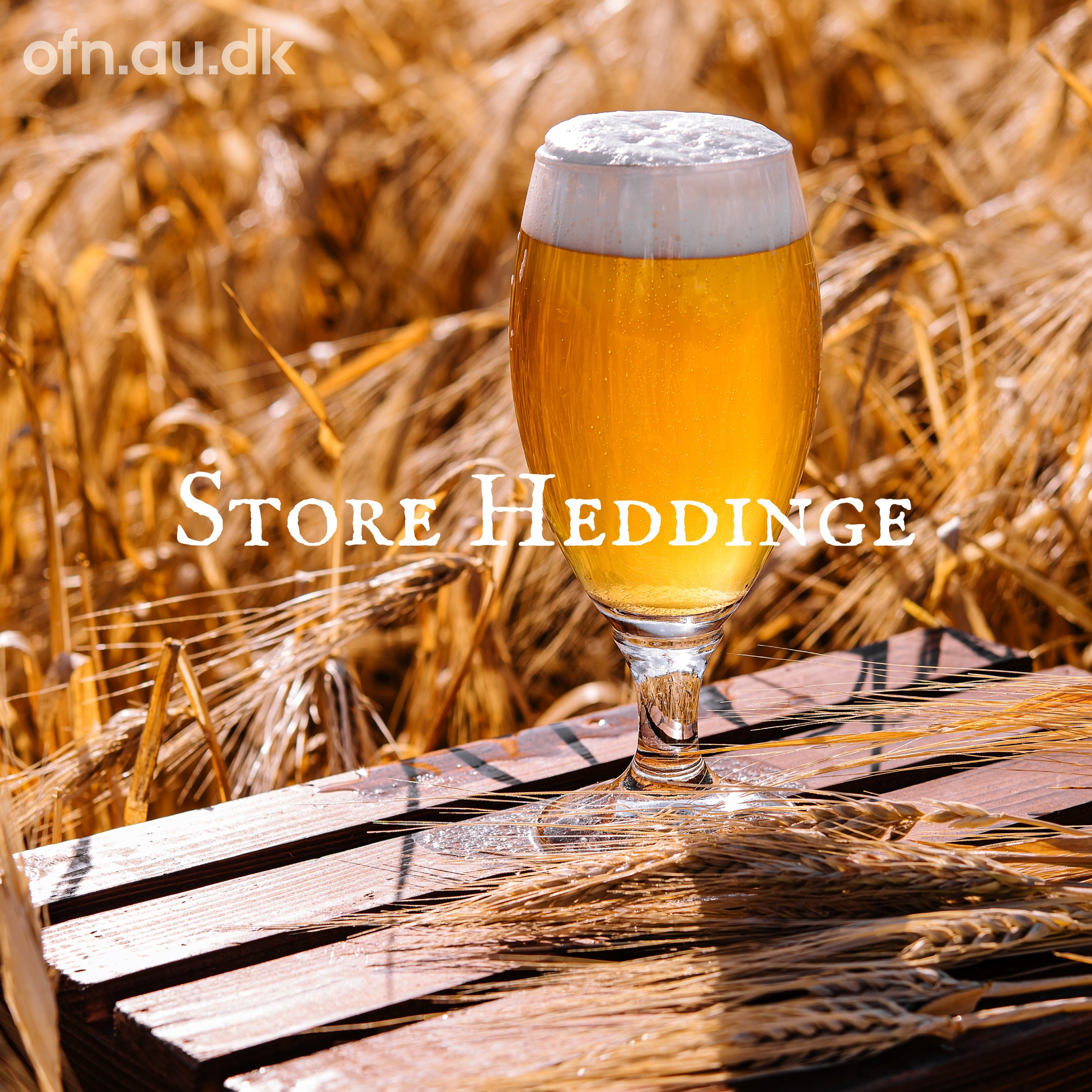 Oplev spændende arrangementer på Store Heddinge Bibliotek