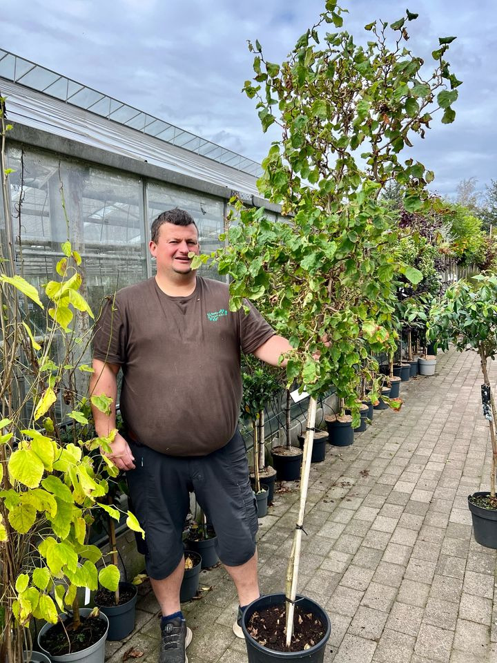 Hold trit med lokalområdet: Nyt fra Sæby