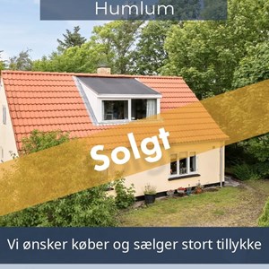 Opslagsbillede