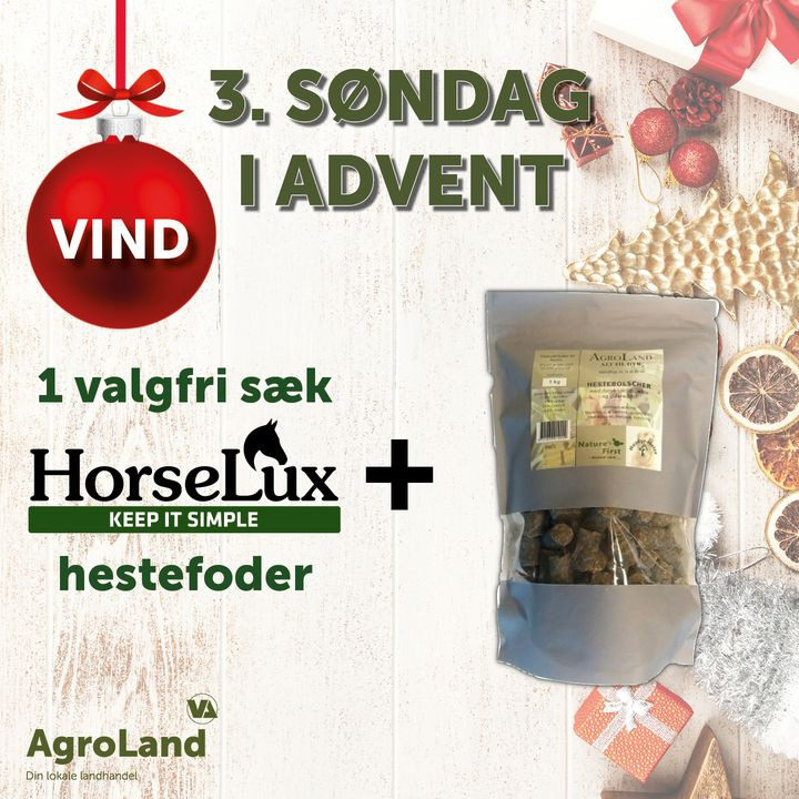 Opslagstavlen: Nyeste opdateringer fra Herning