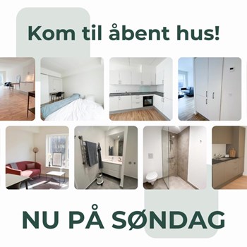 Opslagsbillede