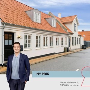 Opslagsbillede