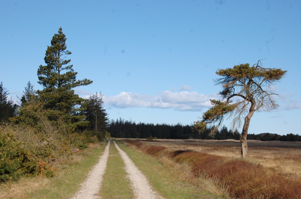 Udforsk Thy til fods med Nationalpark Thy Venner