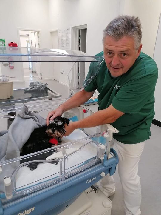 Opdatér dig her: Det nyeste fra Herning