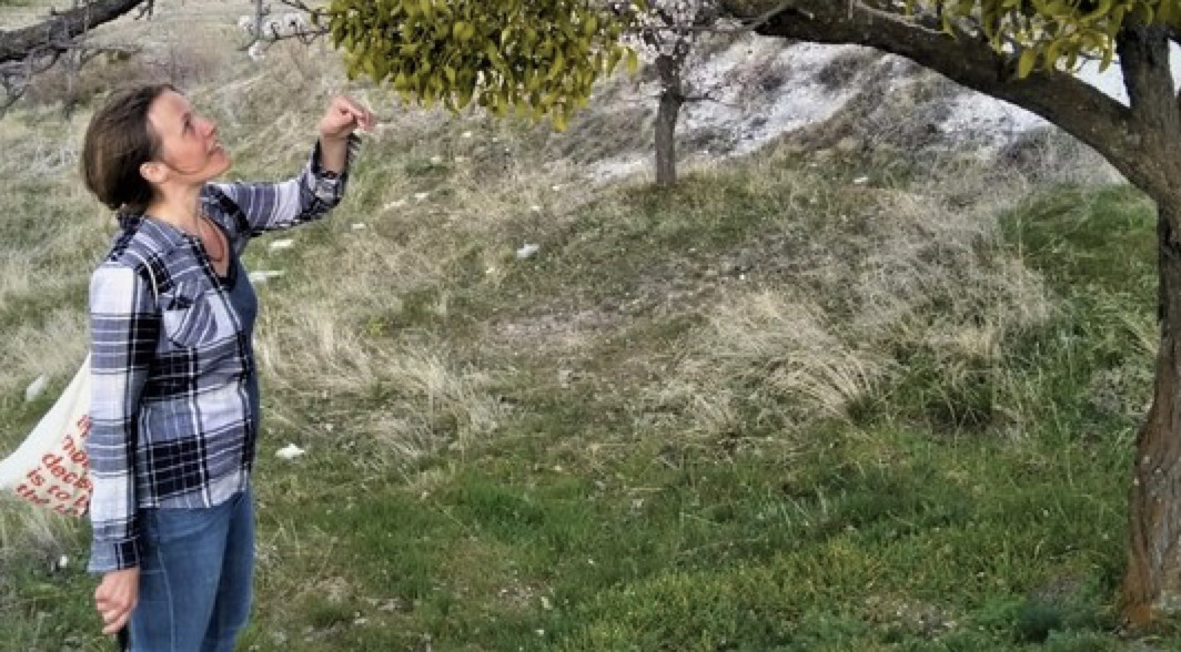 Ti kunstnere inviterer på vandring