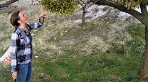 Ti kunstnere inviterer på vandring