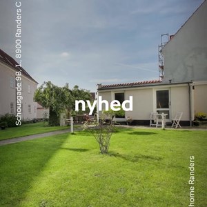 Opslagsbillede