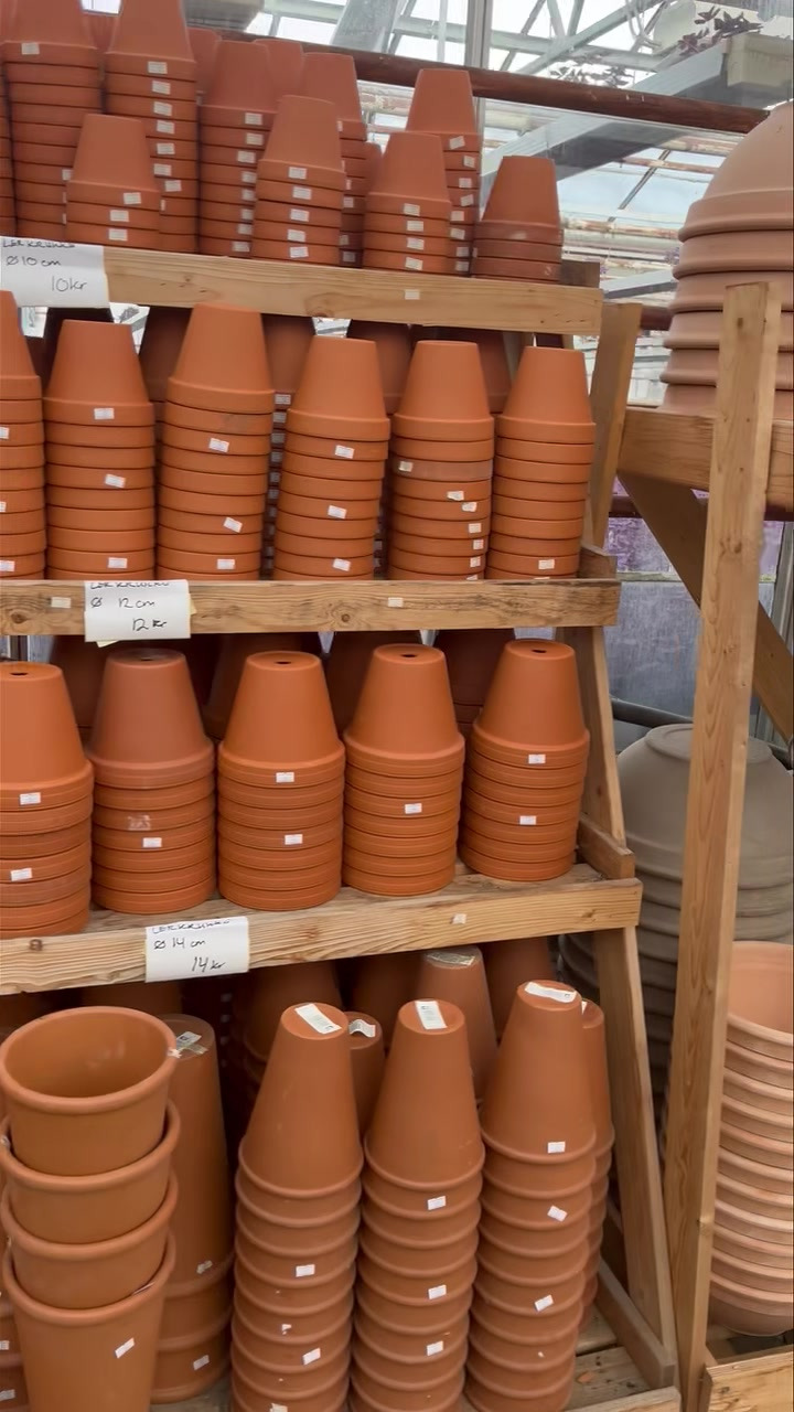 Se dagens updates fra Odder her