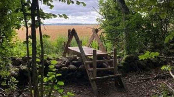 Forårsvandring gennem Harlevs fredede naturområder