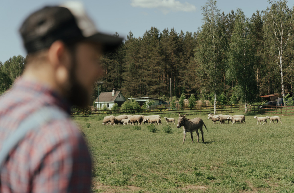 Rejs tilbage til fortiden for en enkelt dag