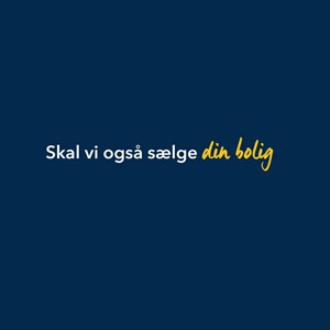 Opslagsbillede