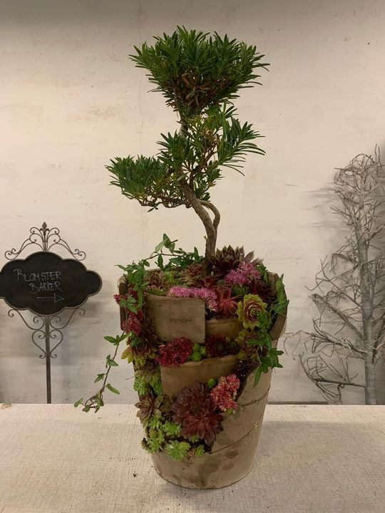 Det nyeste på Brønderslevs opslagstavle