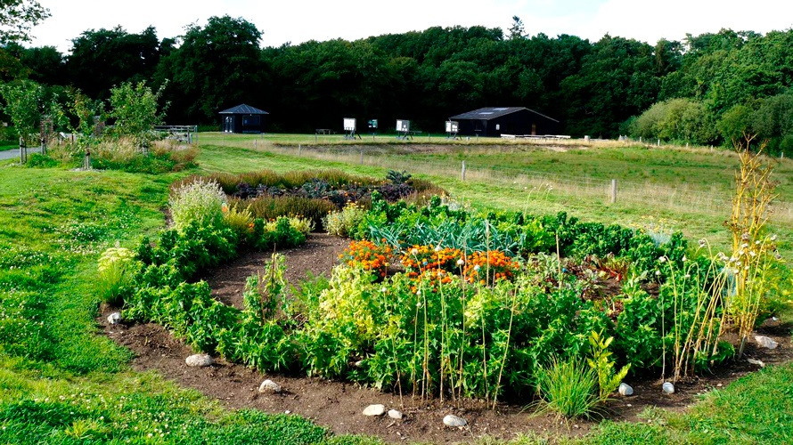 Nyt gruppeforløb hjælper kræftramte med senfølger i naturskønne omgivelser ved Tvis Mølle