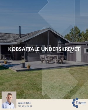 opslagsbillede