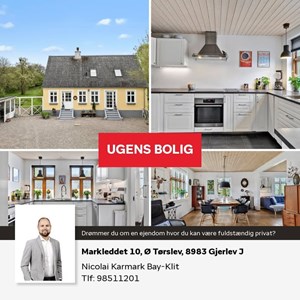 opslagsbillede