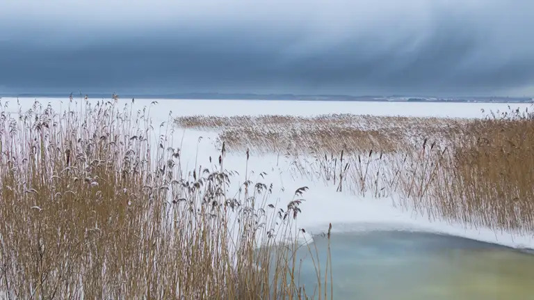 Thisted Kommune vil omlægge 630 hektar ved Lund Fjord til ny natur