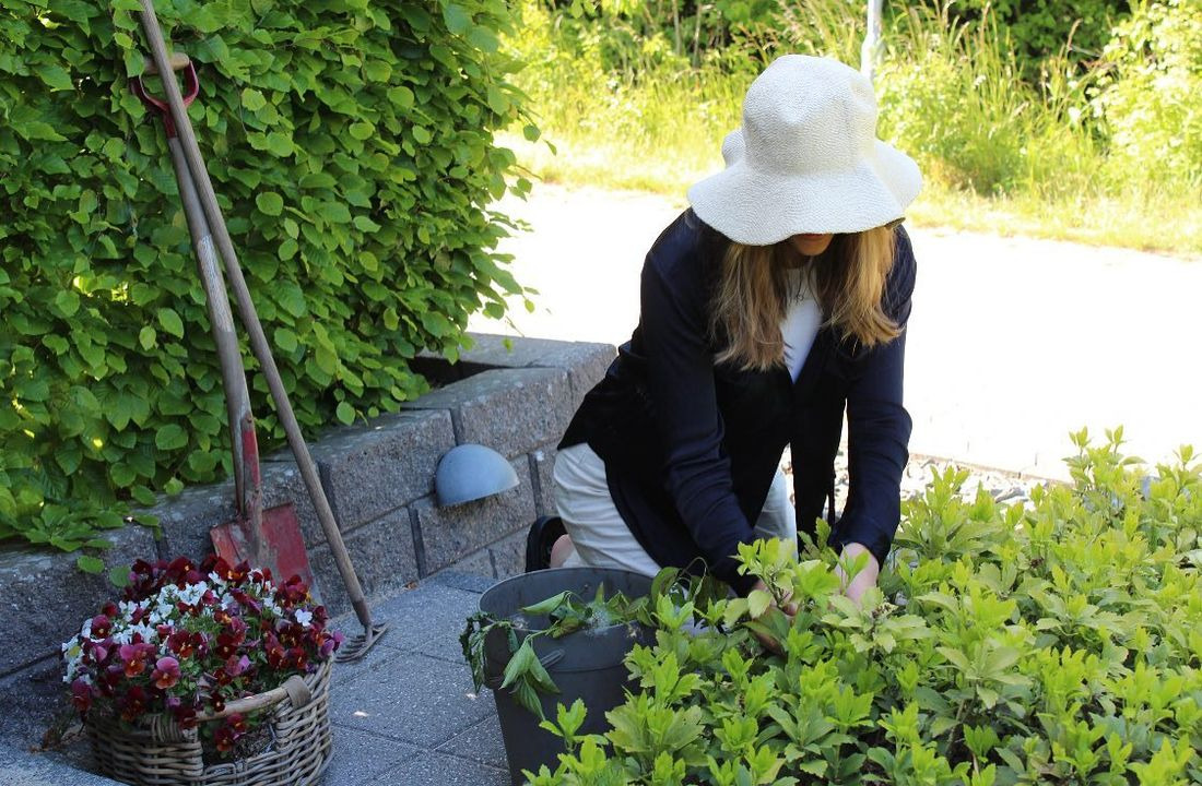 Hold dig ajour med dagens opdateringer fra Viborg