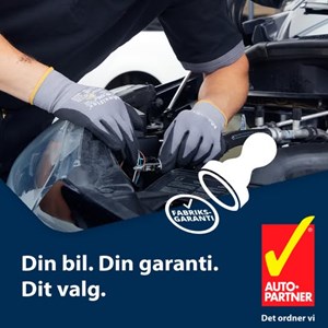 Opslagsbillede