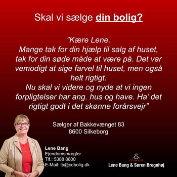 Opslagsbillede