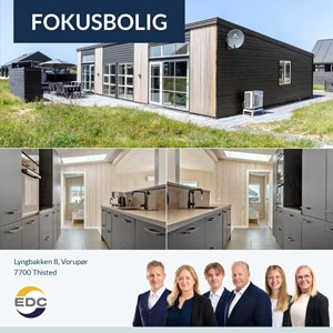 Opslagsbillede