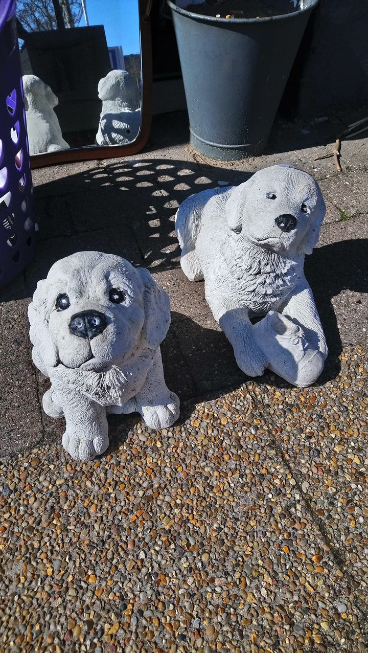 En finger på pulsen i Brønderslev