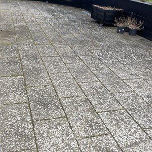 Opslagsbillede
