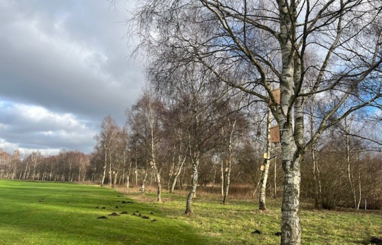 Horsens Golfklub byder foråret velkommen med en række forbedringer
