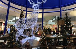 Julen er glædernes tid …