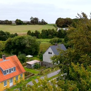 opslagsbillede